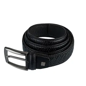 Cygnus Belt