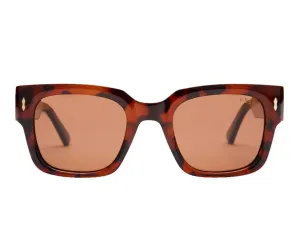 Parker Tort/Brown Sunglasses