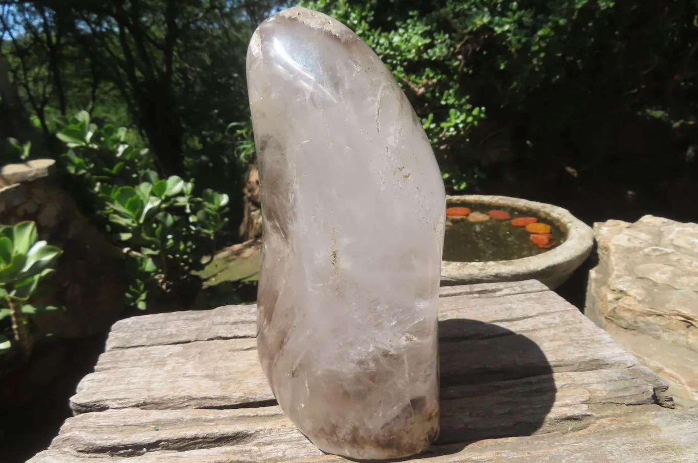 Polished Smokey Window Quartz Standing Free Form x 1 From Madagascar