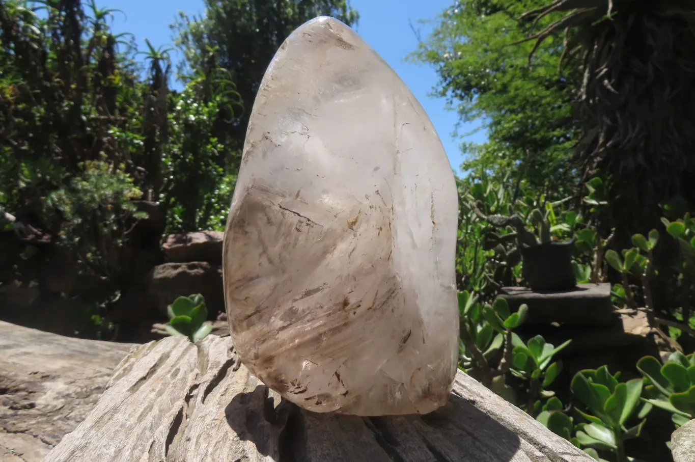 Polished Smokey Window Quartz Standing Free Form x 1 From Madagascar