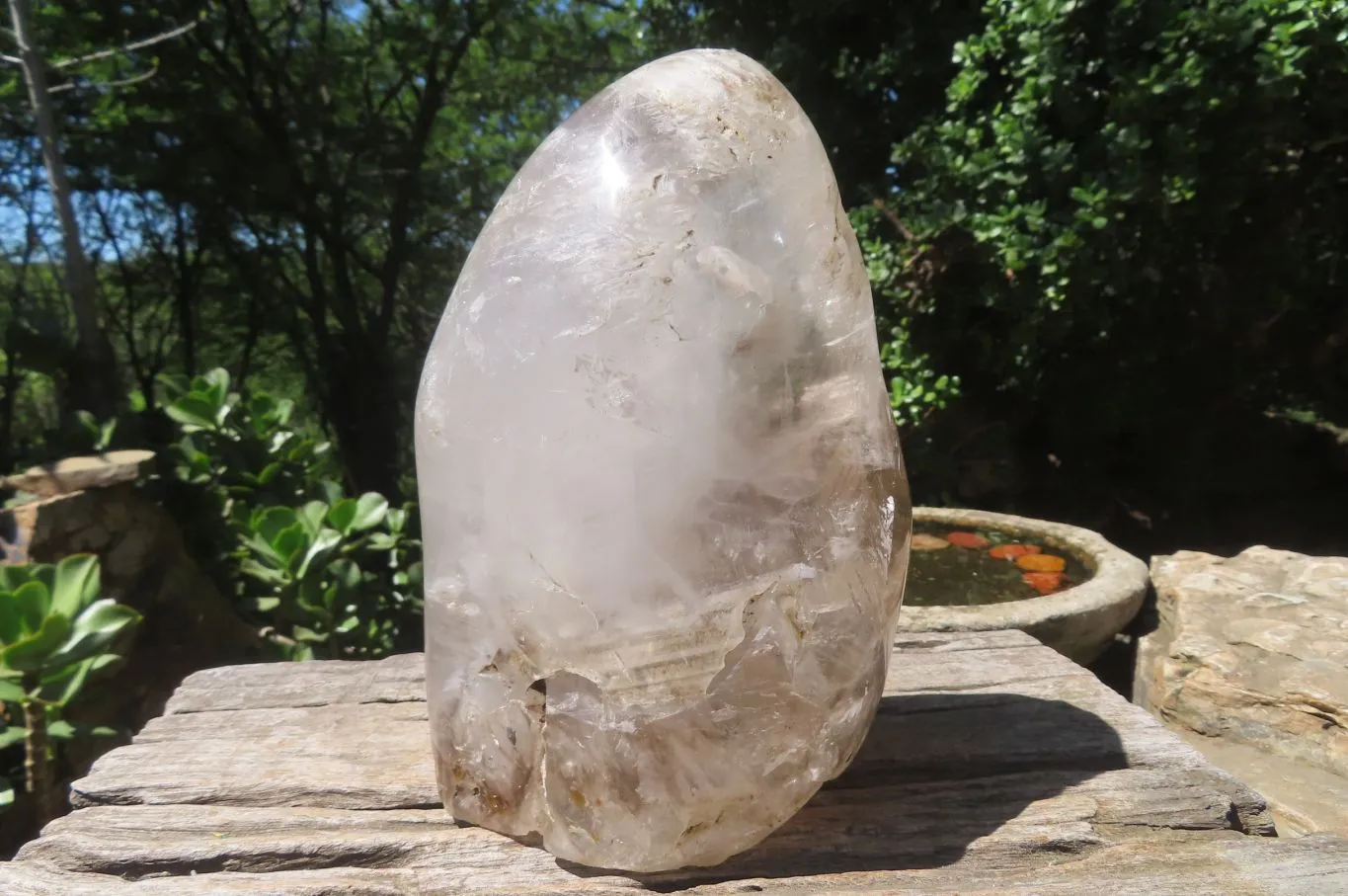 Polished Smokey Window Quartz Standing Free Form x 1 From Madagascar