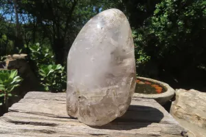 Polished Smokey Window Quartz Standing Free Form x 1 From Madagascar