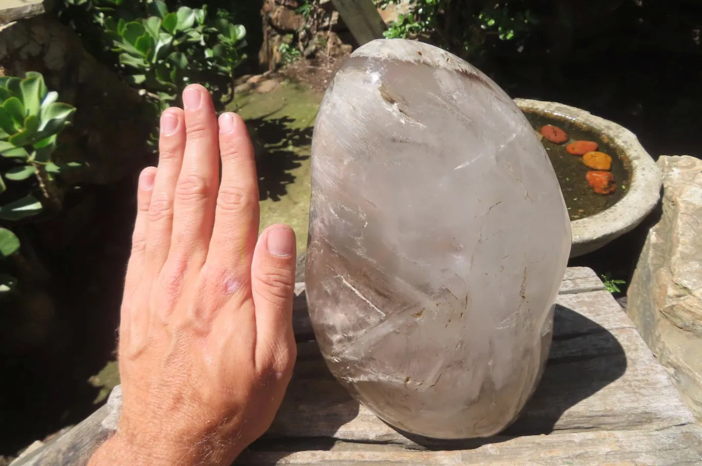 Polished Smokey Window Quartz Standing Free Form x 1 From Madagascar