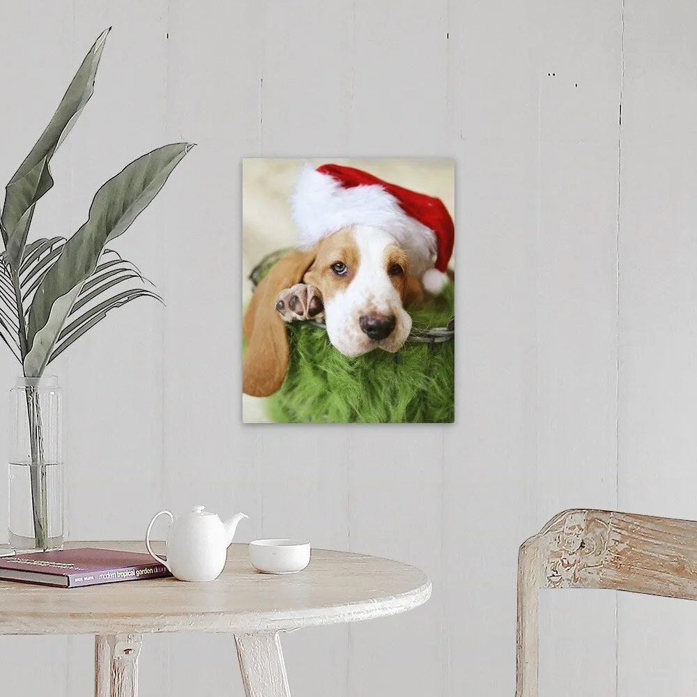 "Basset Hound wearing a Santa hat" Canvas Wall Art