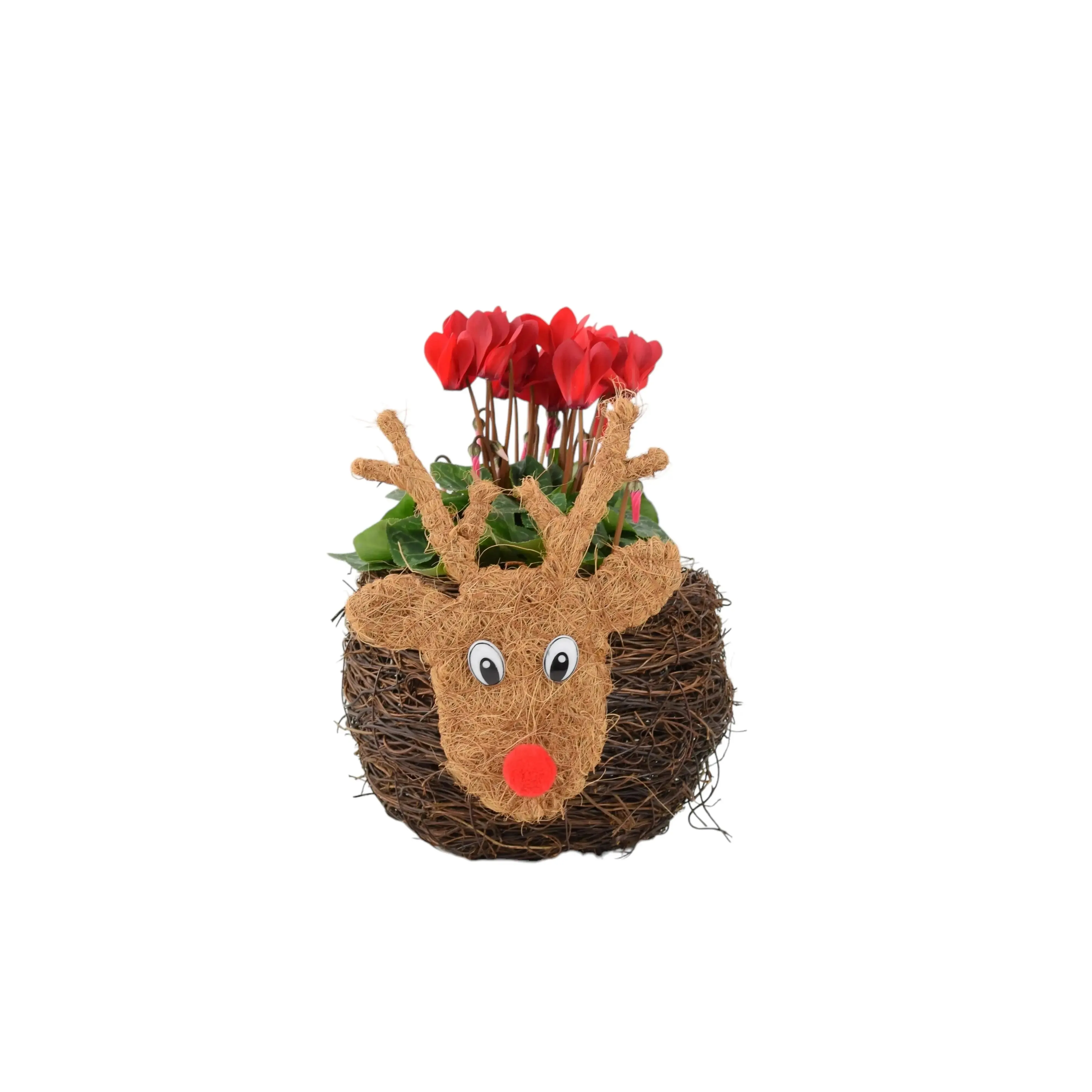 Reindeer Face Planter With Cyclamen